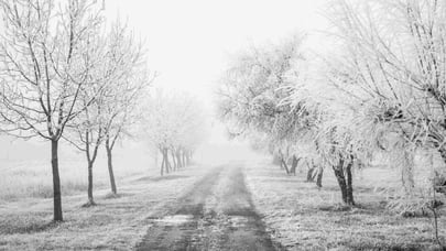 What is hoar frost?